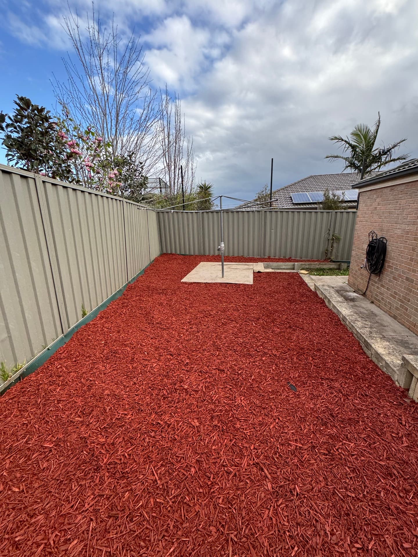 Backyard fully covered in fresh red bark mulch after a mulching job