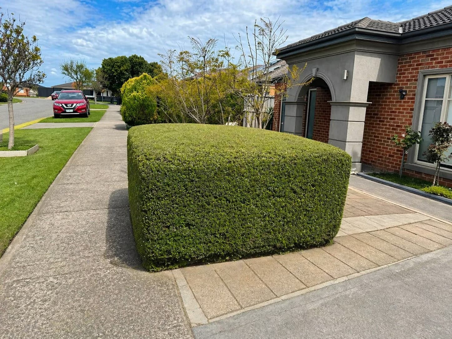 Neatly trimmed box hedge beside a residential driveway