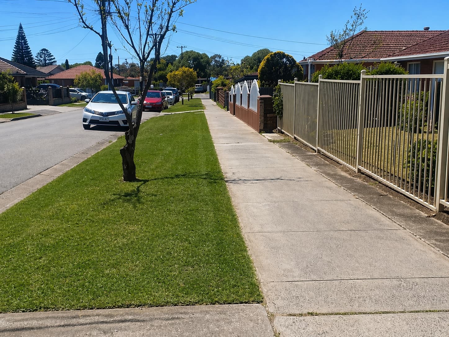 Perfectly edged nature strip along a footpath