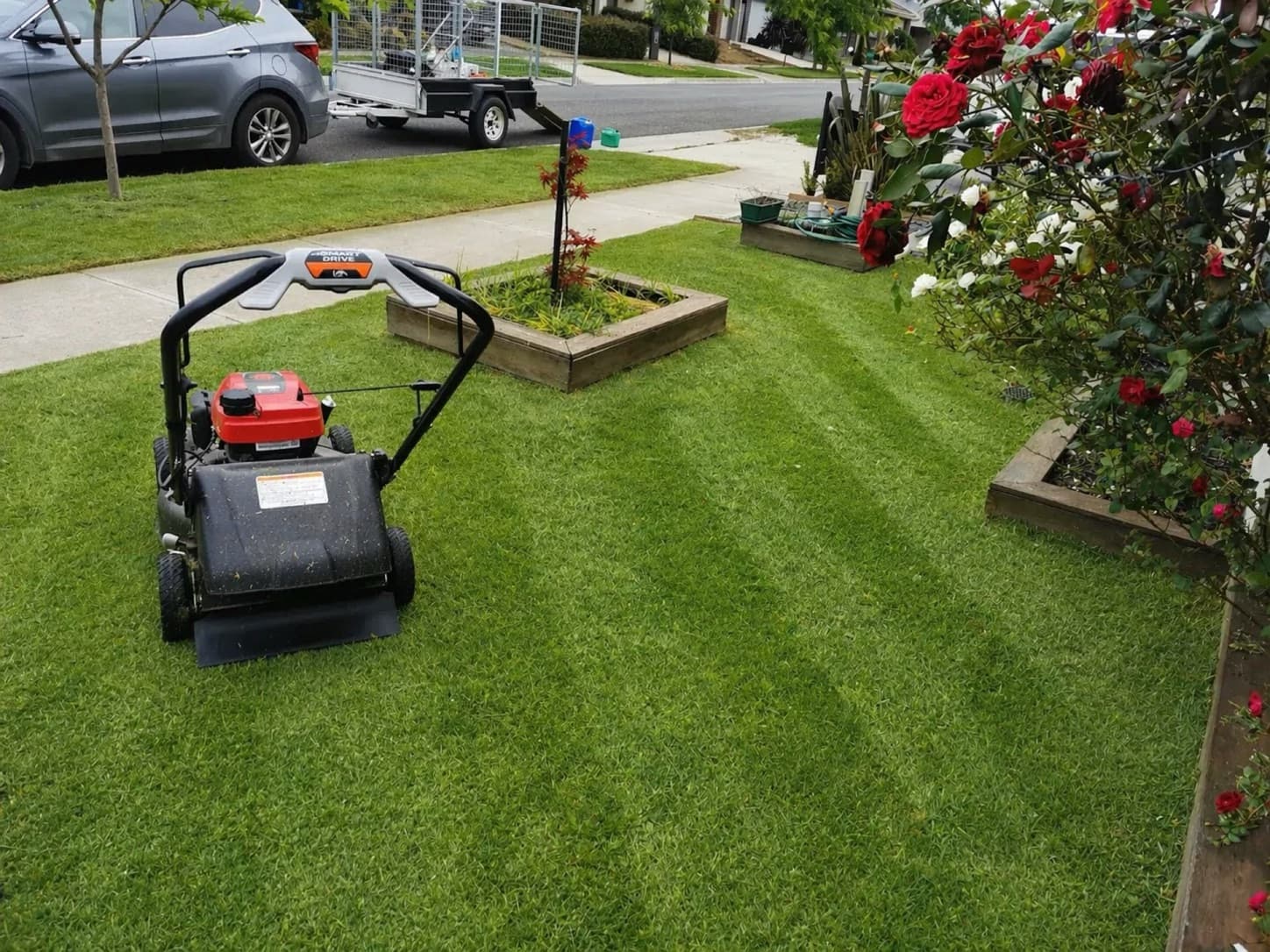 Freshly mowed front lawn with sharp edges by Laser Cut Mowing in Cranbourne