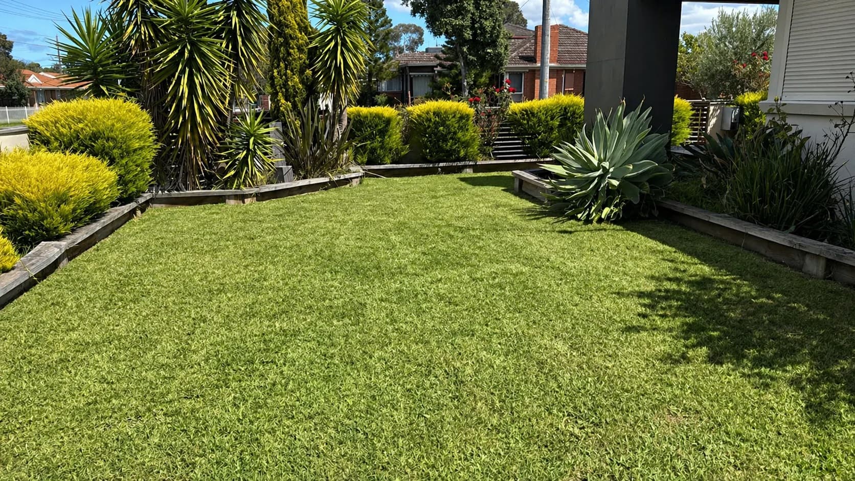 Freshly mowed front yard with sharp edges and clean kerbside finish in Cranbourne